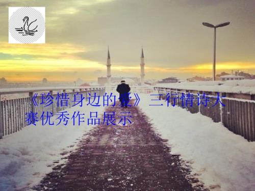 三行情诗100份作品展示课件.ppt