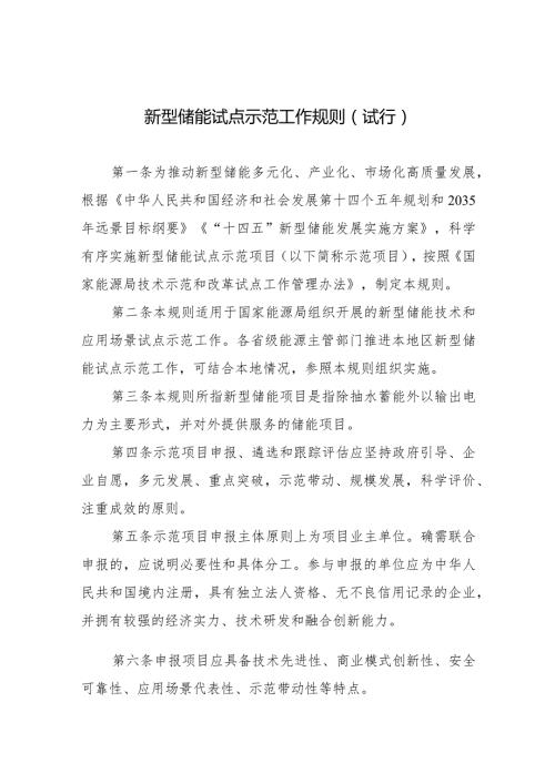 新型储能试点示范工作规则.docx