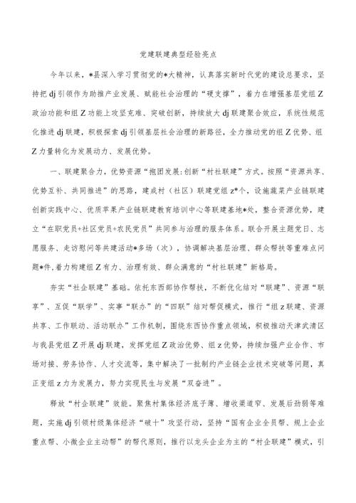 党建联建典型经验亮点.docx
