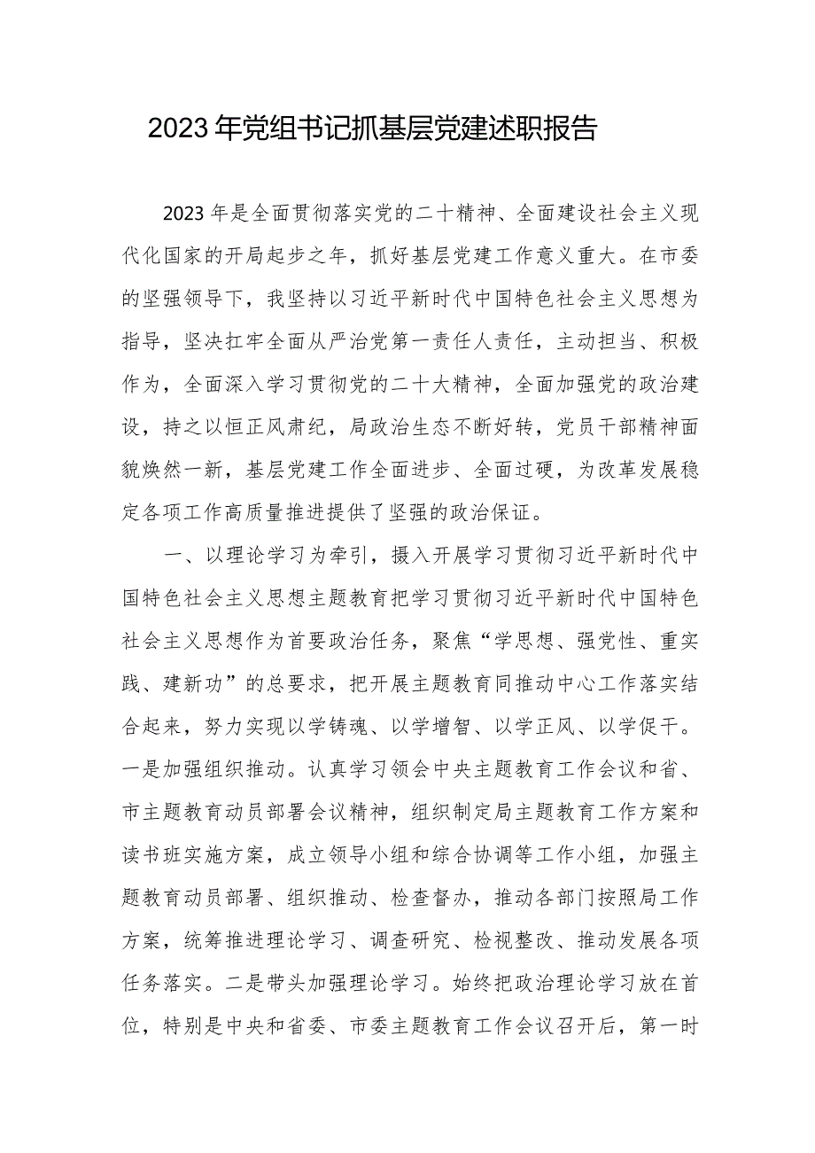 党组织党委书记20232024抓基层党建述职报告5篇.docx_第2页