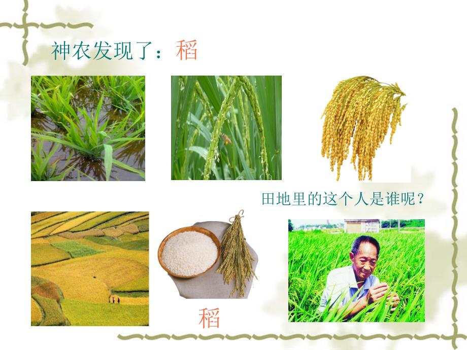 神农尝百草PPT课件.ppt_第2页
