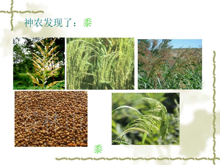 神农尝百草PPT课件.ppt_第3页