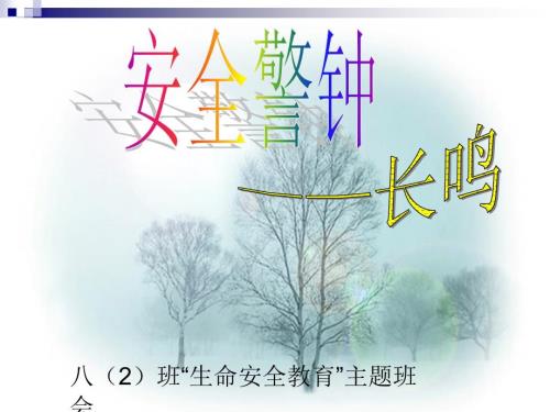 生命安全教育课件.ppt
