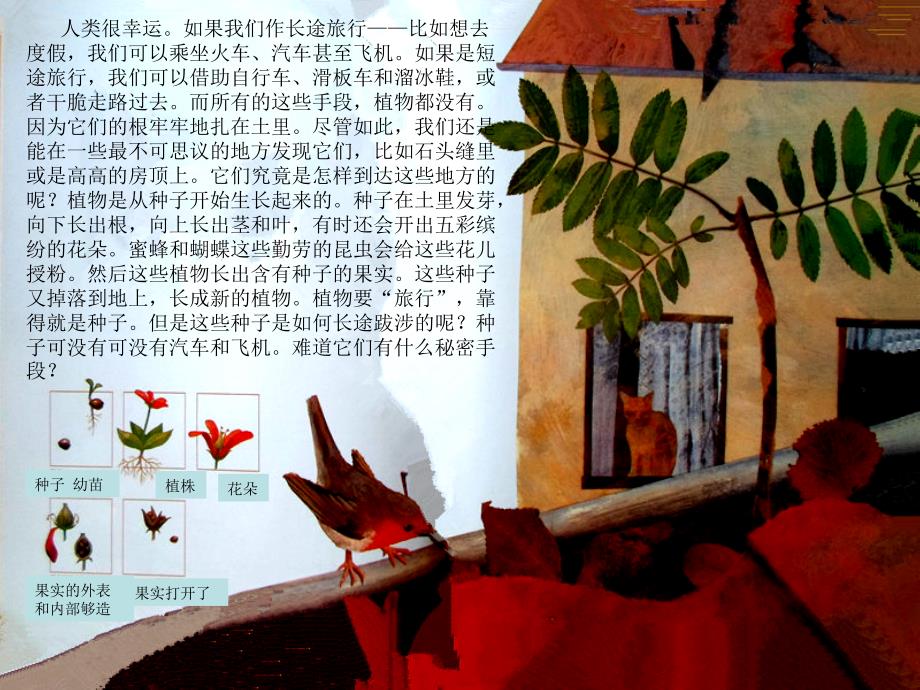 一粒种子的旅行PPT课件.ppt_第2页