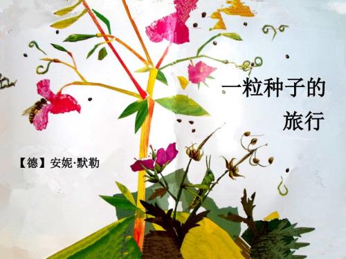 一粒种子的旅行PPT课件.ppt