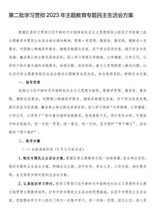 第二批学习贯彻2023年主题教育专题民主生活会方案(1).docx