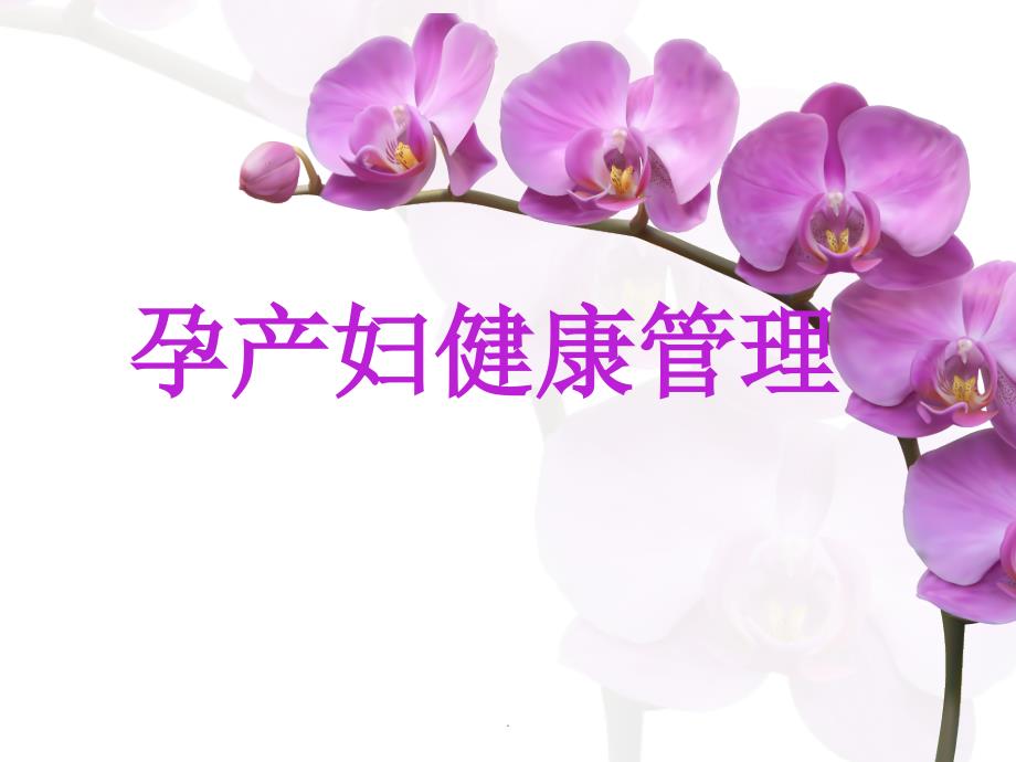 孕产妇健康管理PPT课件.ppt_第1页