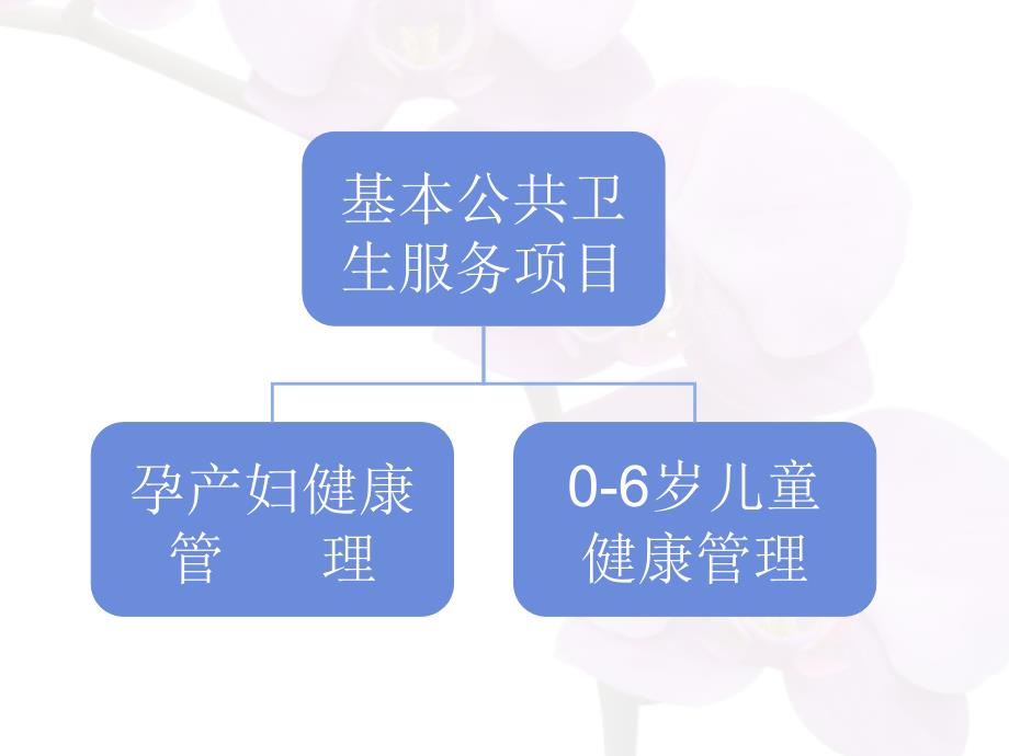 孕产妇健康管理PPT课件.ppt_第3页