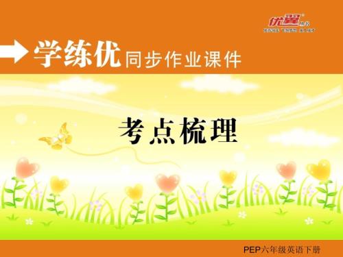 PEP英语六年级下册考点梳理PPT课件.ppt