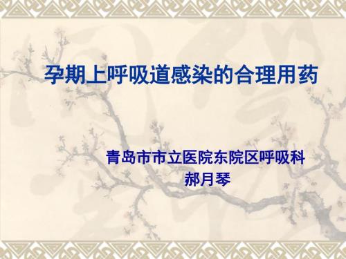 孕期上呼吸道感染PPT课件.ppt