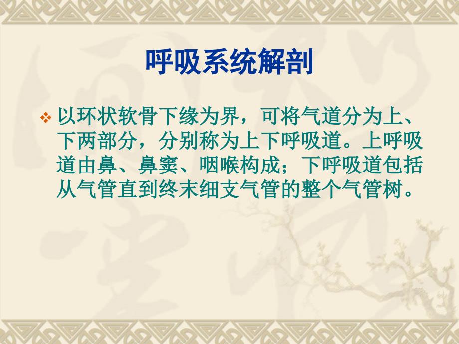 孕期上呼吸道感染PPT课件.ppt_第2页