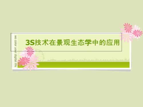 S技术及其在景观生态学中的应用.ppt