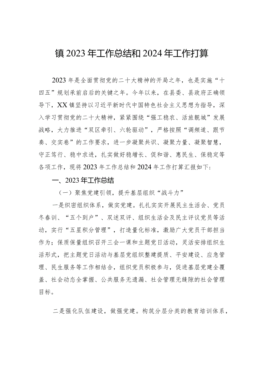 镇2023年工作总结和2024年工作打算(20231226).docx_第1页