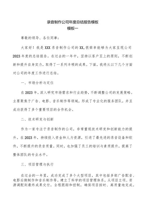 录音制作公司总结报告模板.docx