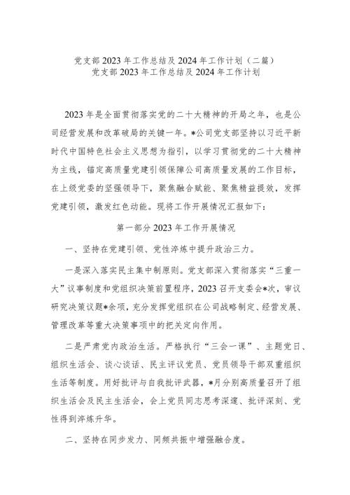 党支部2023年工作总结及2024年工作计划(二篇).docx