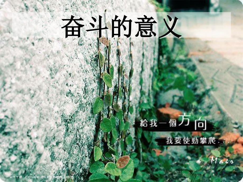 奋斗的青最美丽课件.ppt_第2页