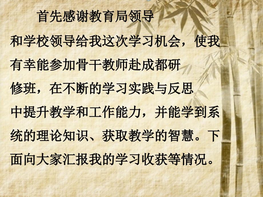 外出培训汇报PPT课件.ppt_第2页