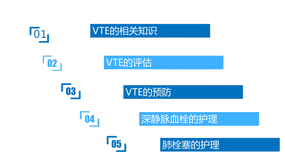 VTE的预防和的护理.ppt_第2页