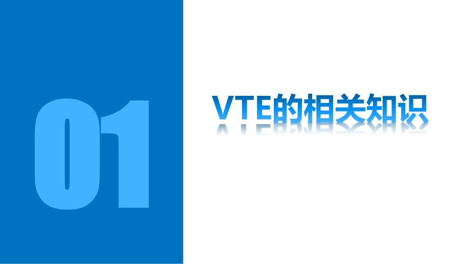 VTE的预防和的护理.ppt_第3页