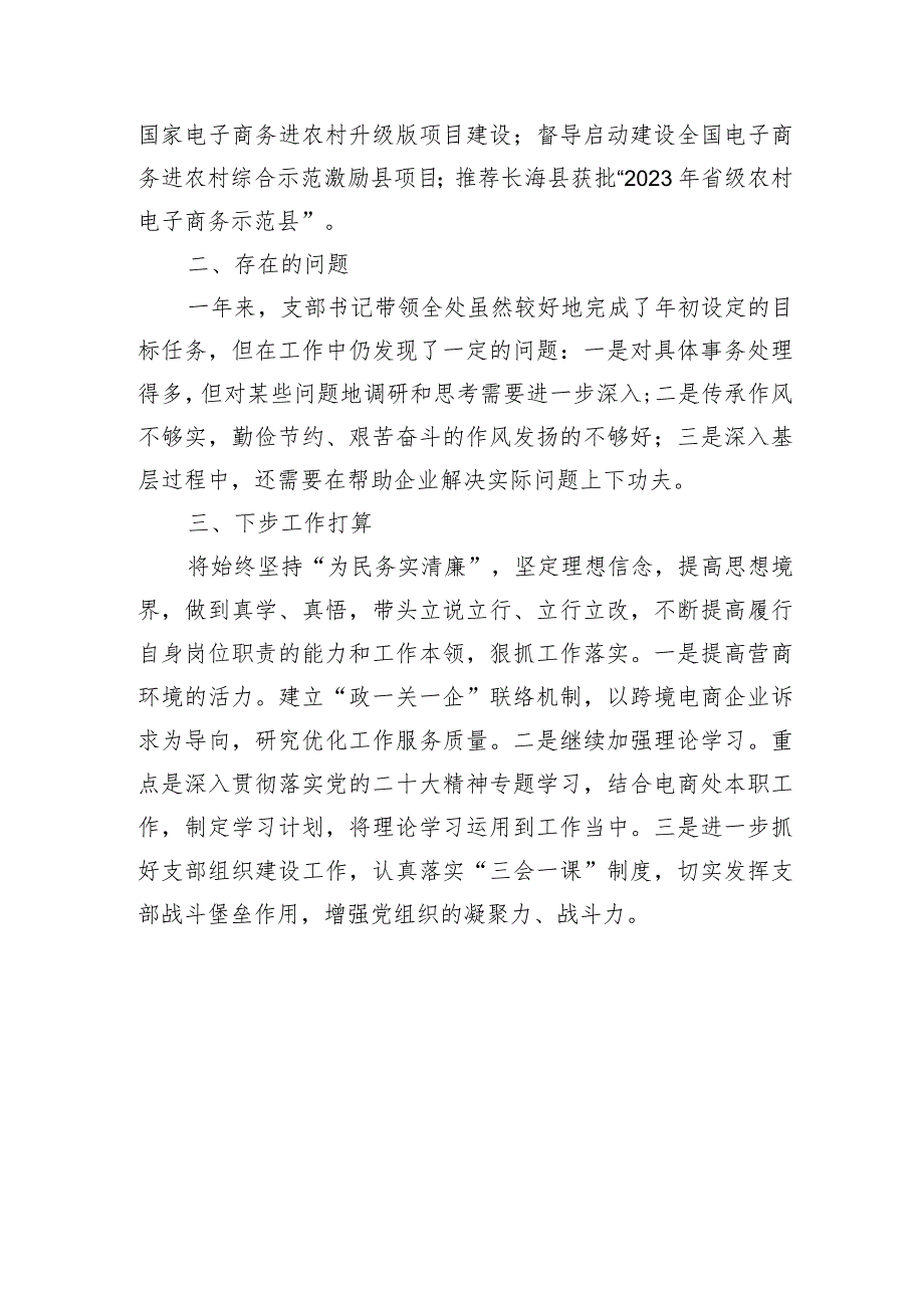 2023年党支部书记抓基层党建工作述职报告.docx_第3页