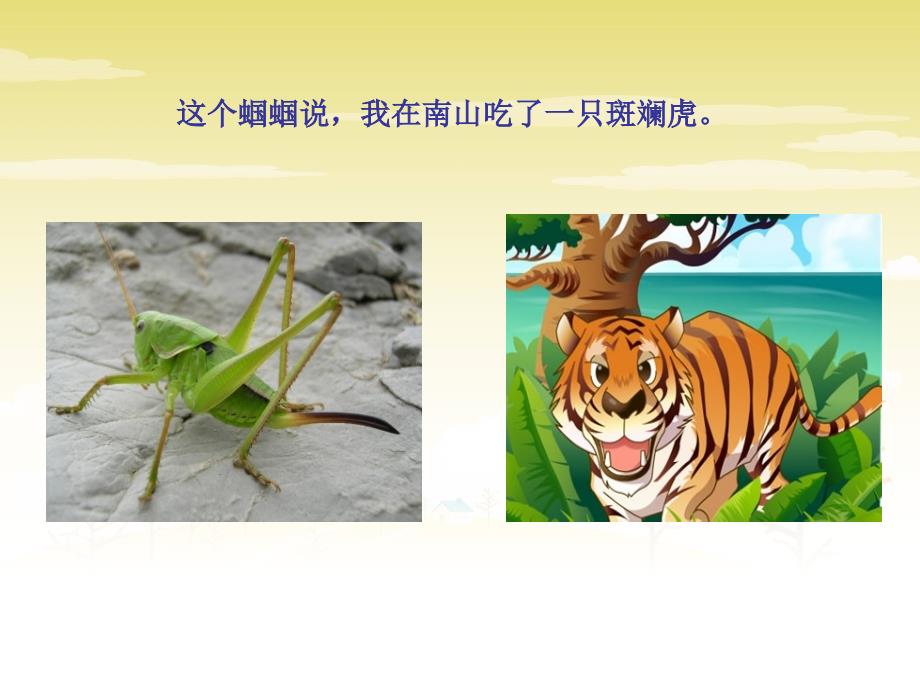 小主持班第四课蝈蝈和蛐蛐说大话.ppt_第3页