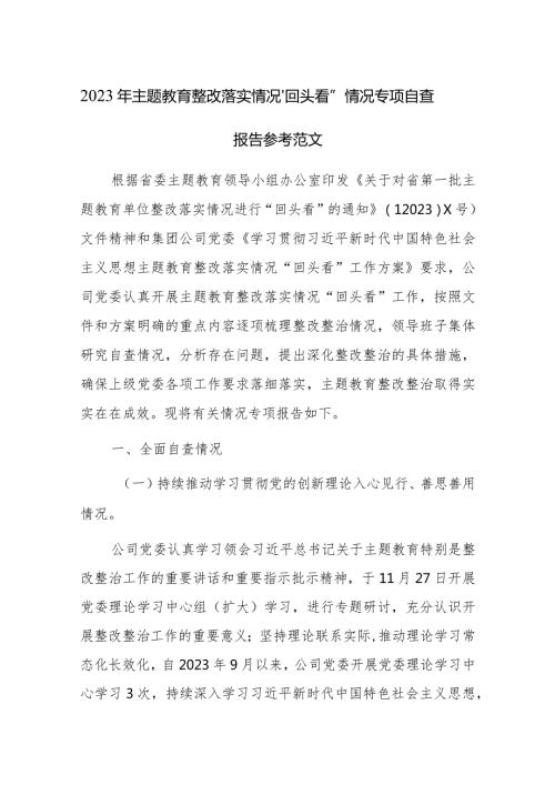 2023年主题教育整改落实情况“回头看”情况专项自查报告参考范文.docx