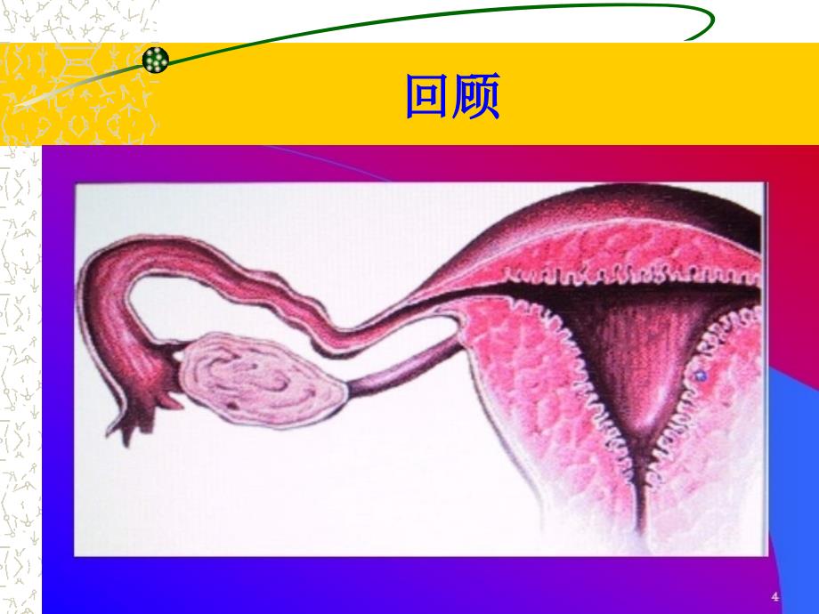 子宫内膜异位症PPT课件.ppt_第3页
