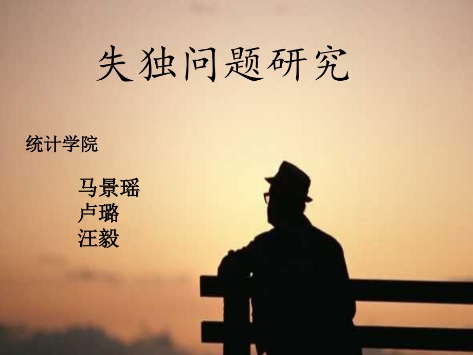 失独问题研究PPT课件.pptx_第1页