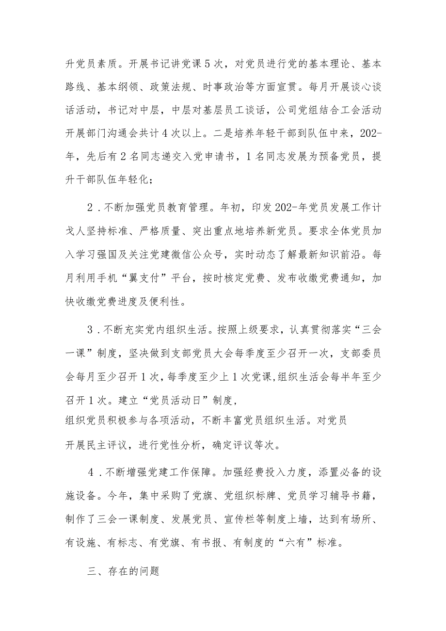 支部规范化建设六篇.docx_第3页