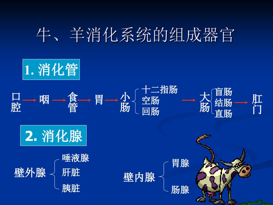 牛羊消化器官的构造.ppt_第2页