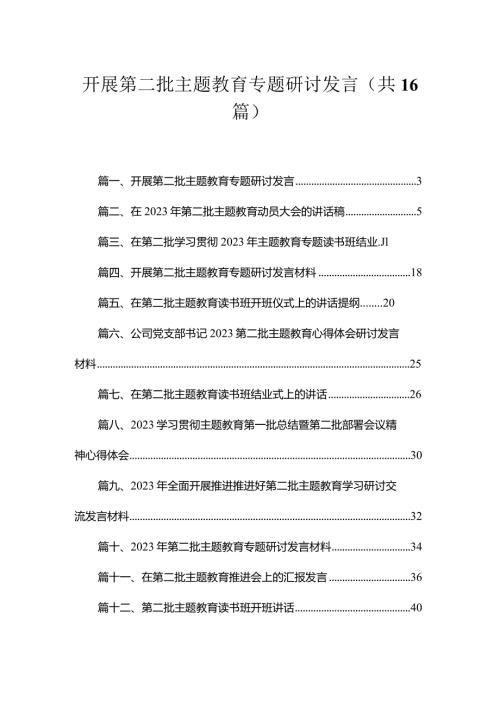 2023开展第二批专题教育专题研讨发言精选（16篇）.docx