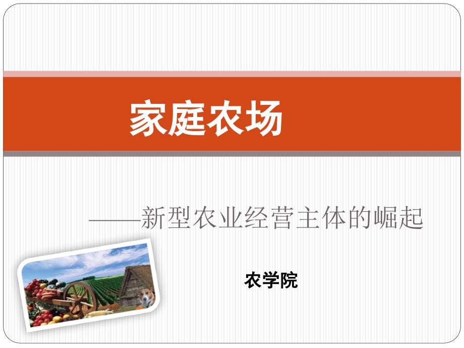 家庭经营及家庭农场管理.ppt_第1页