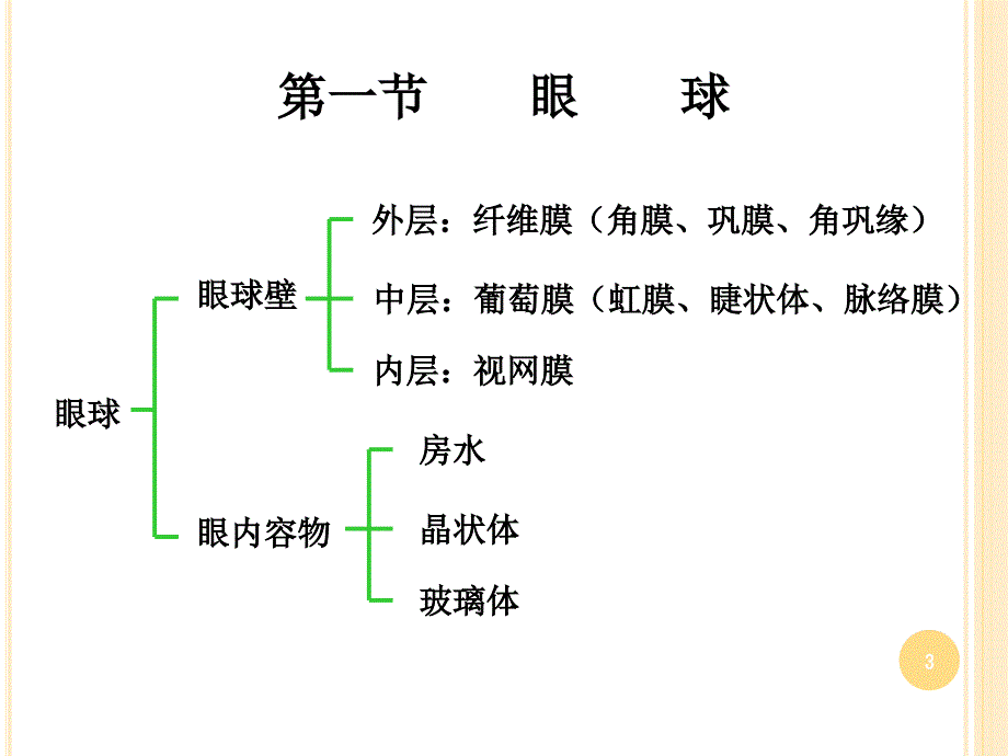眼的解剖与生理ppt课件.ppt_第3页