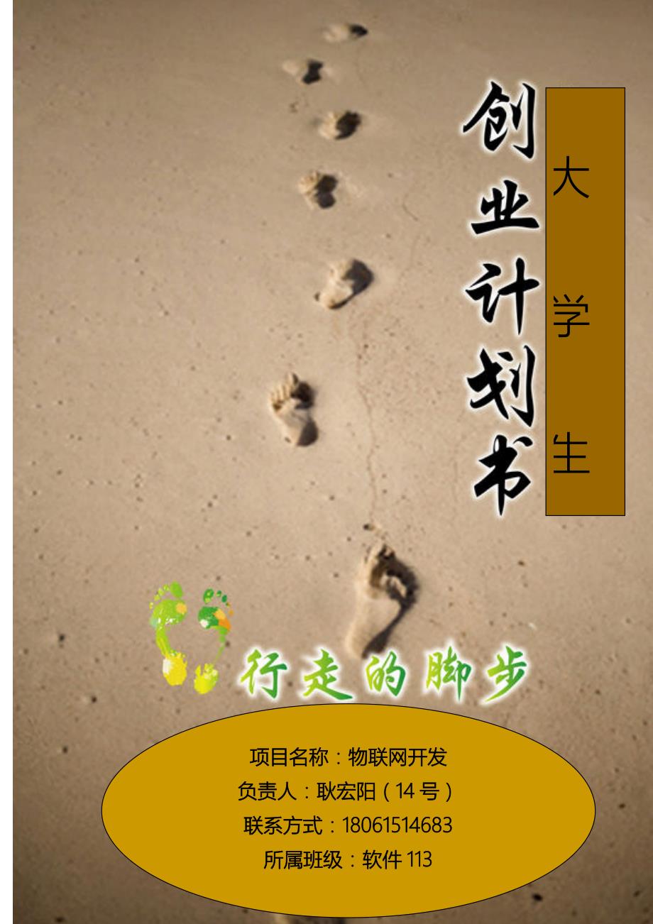 物联网开发创业计划书.doc_第1页