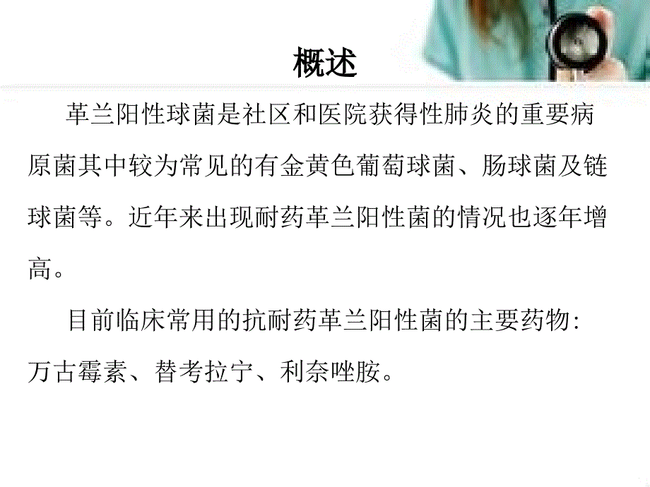 万古霉素替考拉宁利奈唑胺的比较.ppt_第2页
