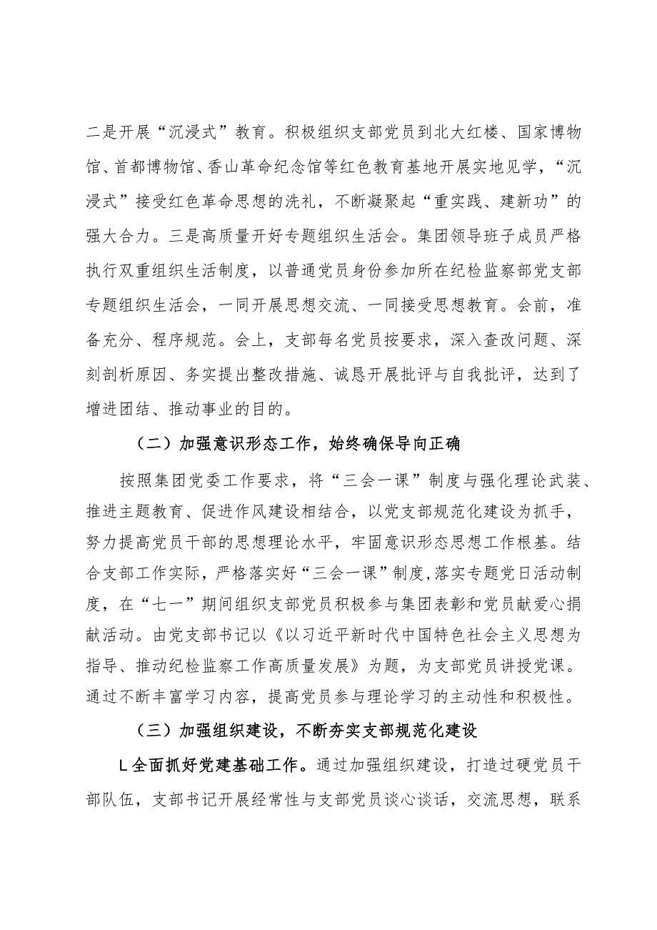 国企纪检监察部党支部全面从严治党（党建）工作报告(1).docx_第2页