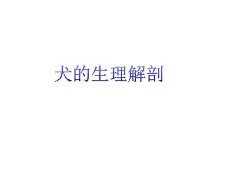 犬解剖结构与生理习性.ppt