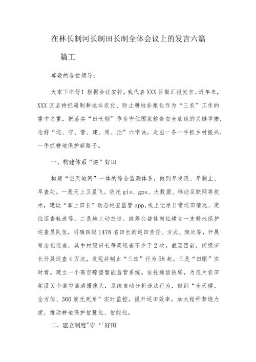 在林长制河长制田长制全体会议上的发言六篇.docx