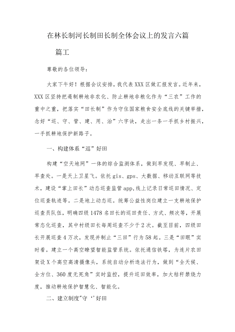 在林长制河长制田长制全体会议上的发言六篇.docx_第1页