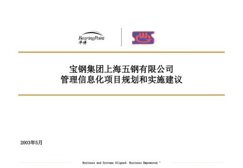 宝钢集团信息化咨询方案.ppt