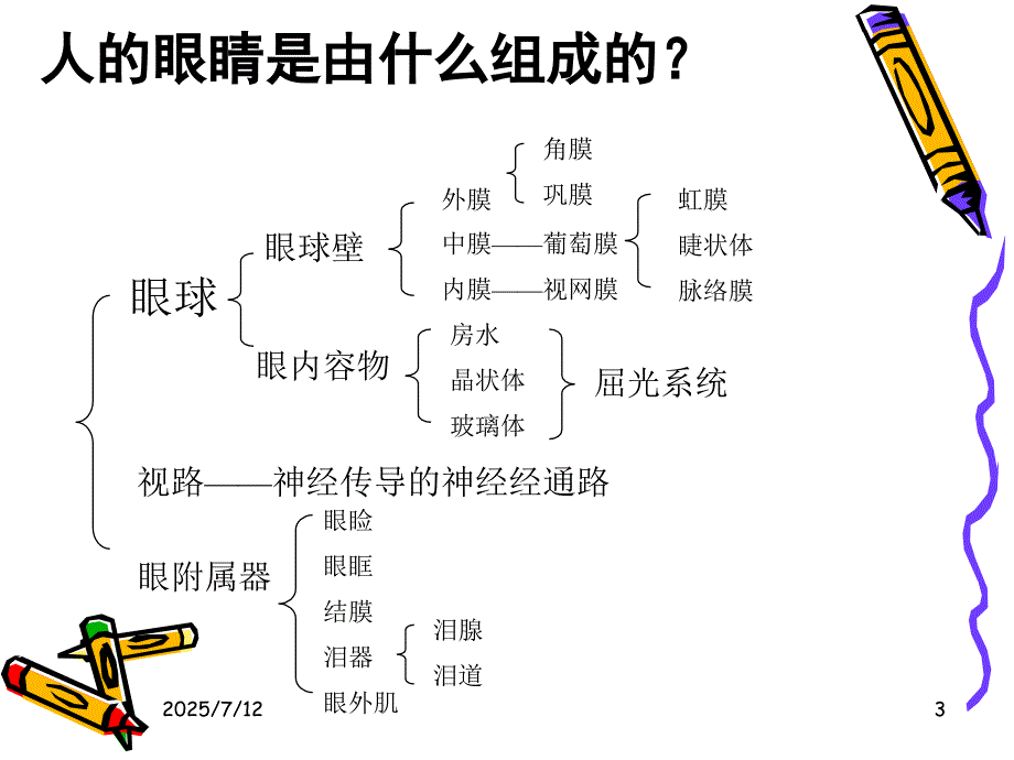 眼科基础知识PPT课件.ppt_第3页