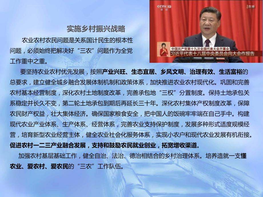 一二三产业融合发展ppt课件.ppt_第3页