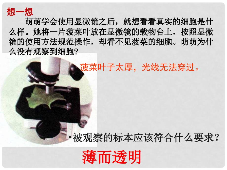 七年级生物上册第二单元第一章第二节植物细胞课件新人教版.ppt_第2页