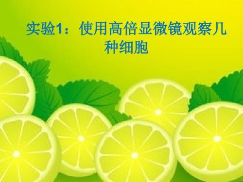 实验1使用高倍显微镜观察几种细胞.ppt