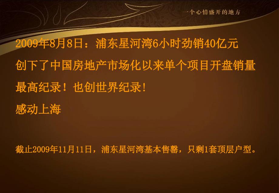 上海浦东星河湾项目简介业绩版.ppt_第2页