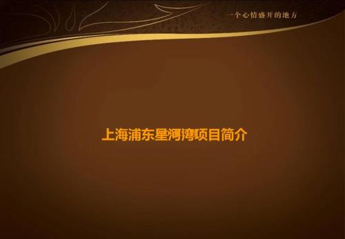上海浦东星河湾项目简介业绩版.ppt