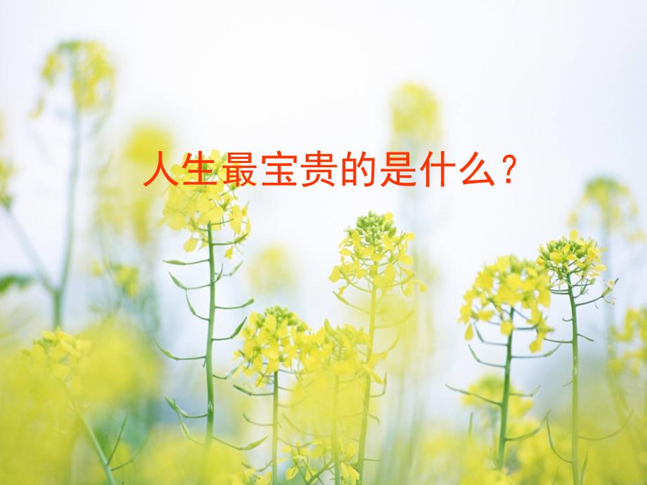 直面挫折珍爱生命.ppt_第2页
