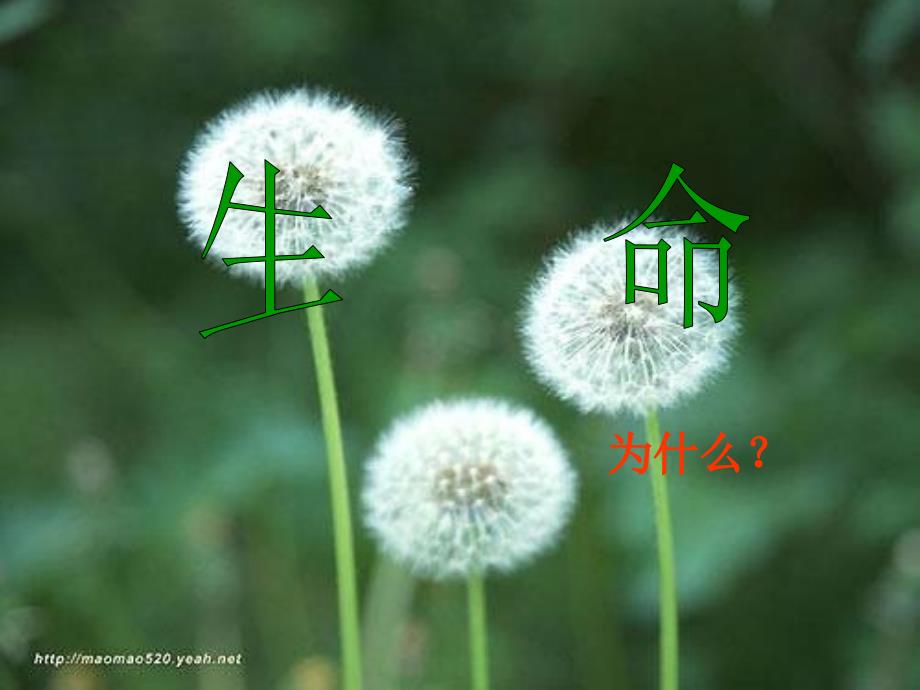 直面挫折珍爱生命.ppt_第3页