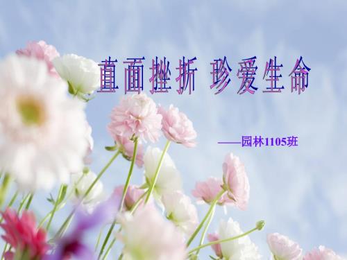 直面挫折珍爱生命.ppt