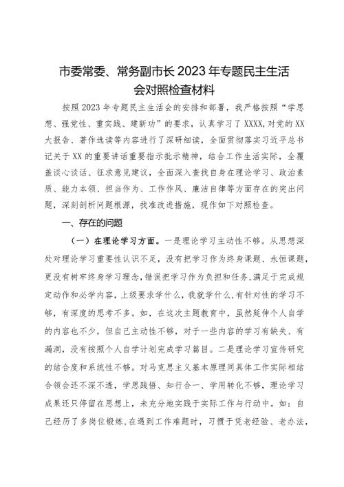 市委常委、常务副市长2023年专题民主生活会对照检查材料.docx